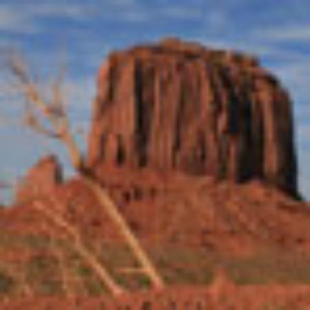 Ristorante Il Querceto